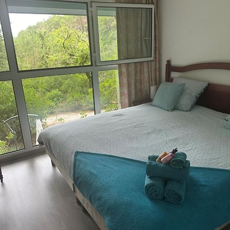 Maison Lacanau Ocean エクステリア 写真